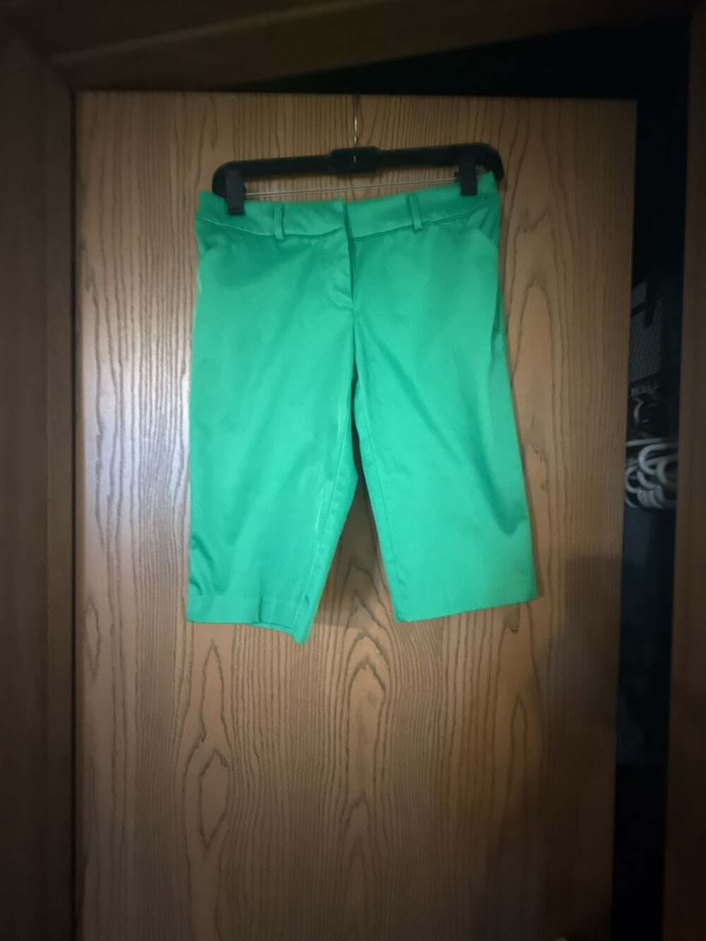7th Avenue Design Studio New York & Company Green Shorts Size 0